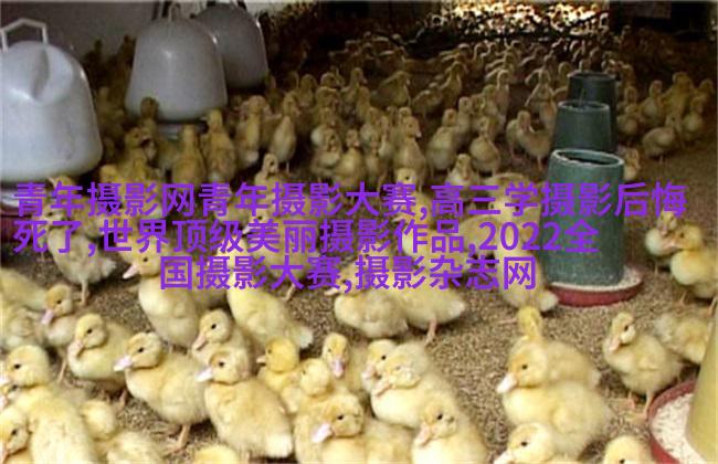 顾客嫌婚纱照拍的丑，真的不能全怪摄影师！