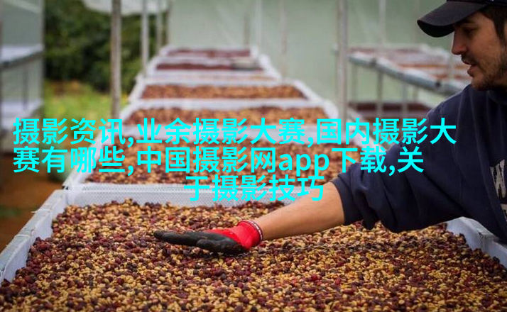 看完这篇文章，才知道拍照的想法有多重要！