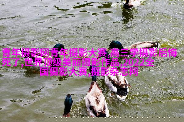 顾客嫌婚纱照拍的丑，真的不能全怪摄影师！