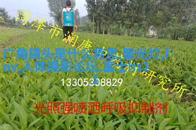 私房人像实战拍摄与后期处理