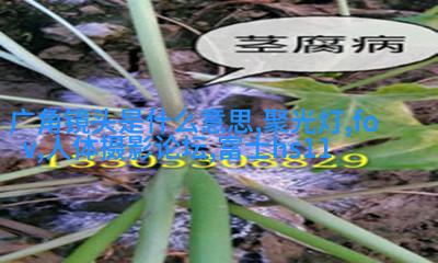 私房人像实战拍摄与后期处理