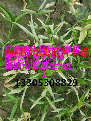 私房人像实战拍摄与后期处理