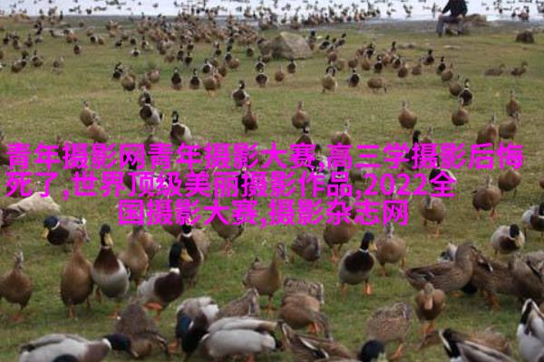 顾客嫌婚纱照拍的丑，真的不能全怪摄影师！