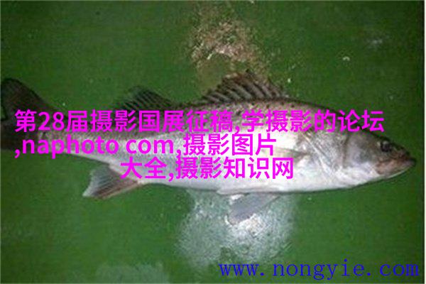 英特尔入驻蜂鸟圣点空间