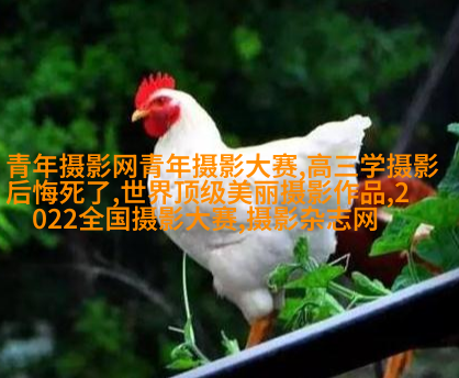 顾客嫌婚纱照拍的丑，真的不能全怪摄影师！
