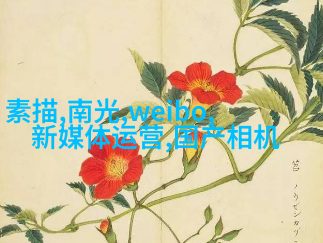 时尚人像摄影常规构图