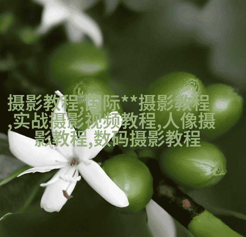 婚礼纪实必学的6个技巧