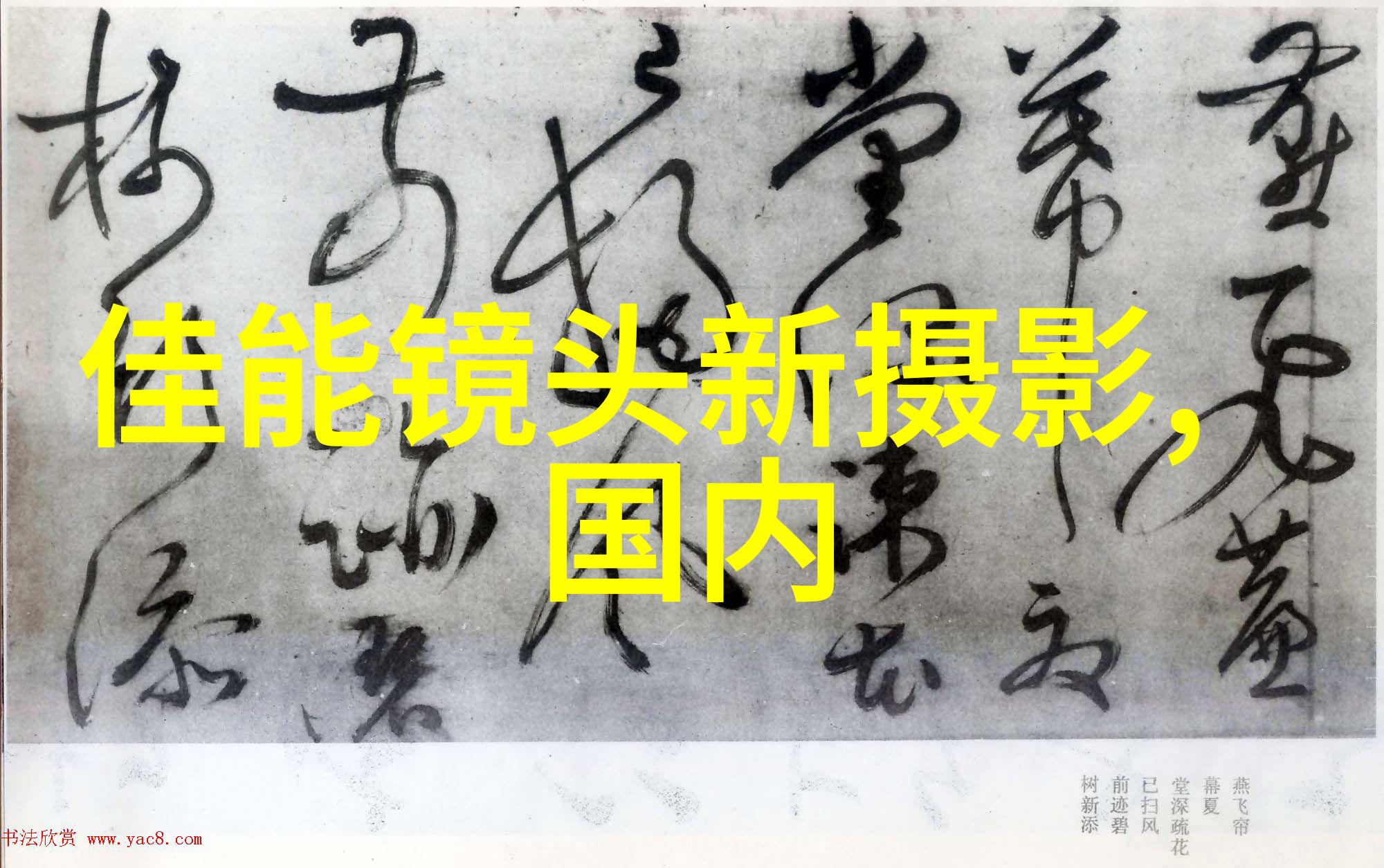 镌刻在光碟上的爱情婚纱电影速写