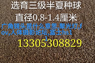 私房人像实战拍摄与后期处理
