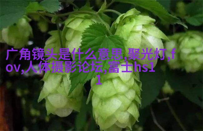 私房人像实战拍摄与后期处理