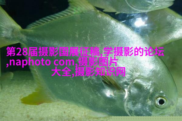 英特尔入驻蜂鸟圣点空间