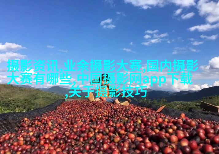 看完这篇文章，才知道拍照的想法有多重要！