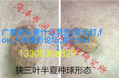 私房人像实战拍摄与后期处理