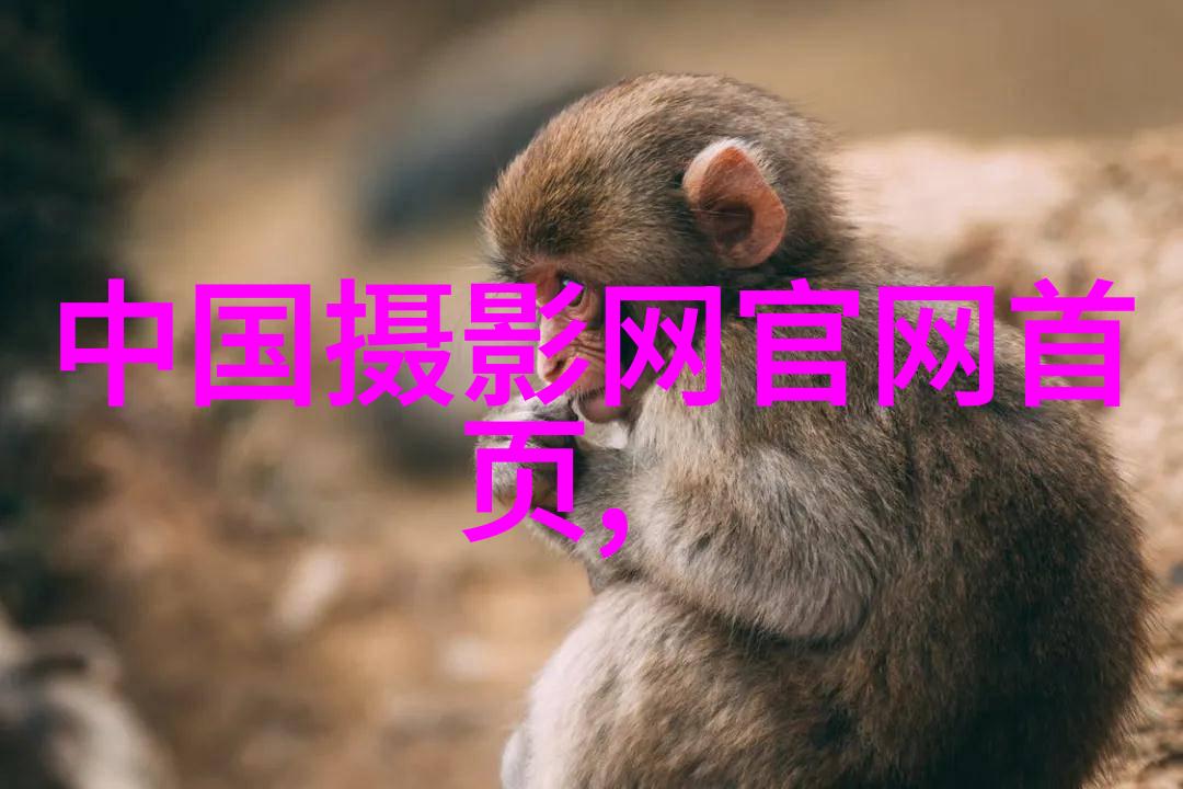 记者暗访婚纱摄影馆：婚纱裙摆发黑